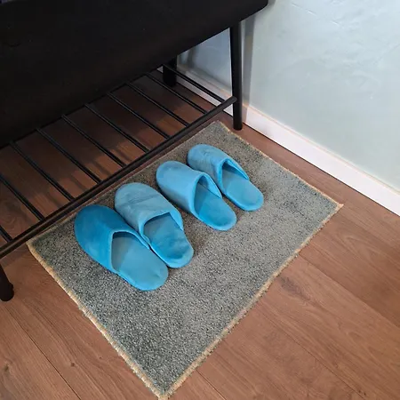 Mirvana Legacy Temeşvar