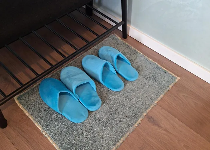 Mirvana Legacy Timişoara